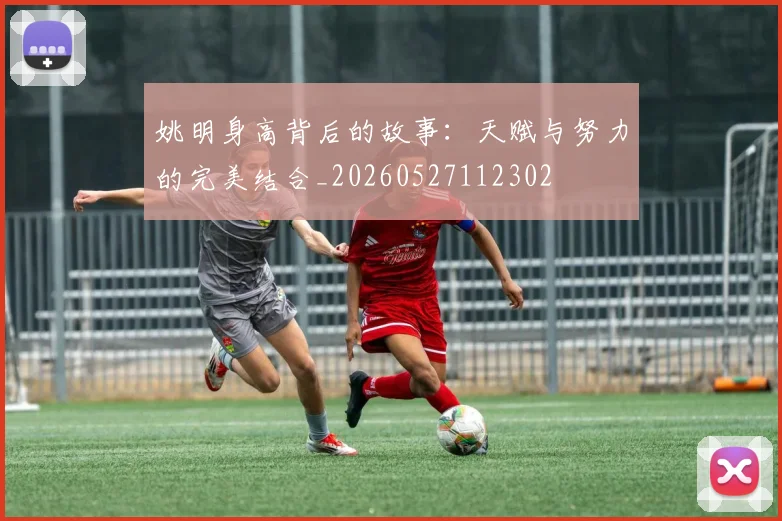 姚明身高背后的故事：天赋与努力的完美结合_20260527112302