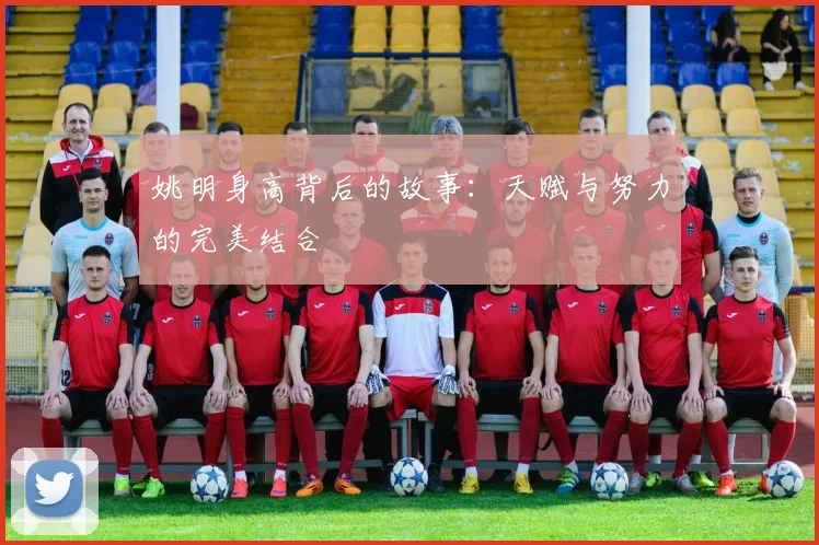 姚明身高背后的故事：天赋与努力的完美结合